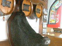 DSCN4104